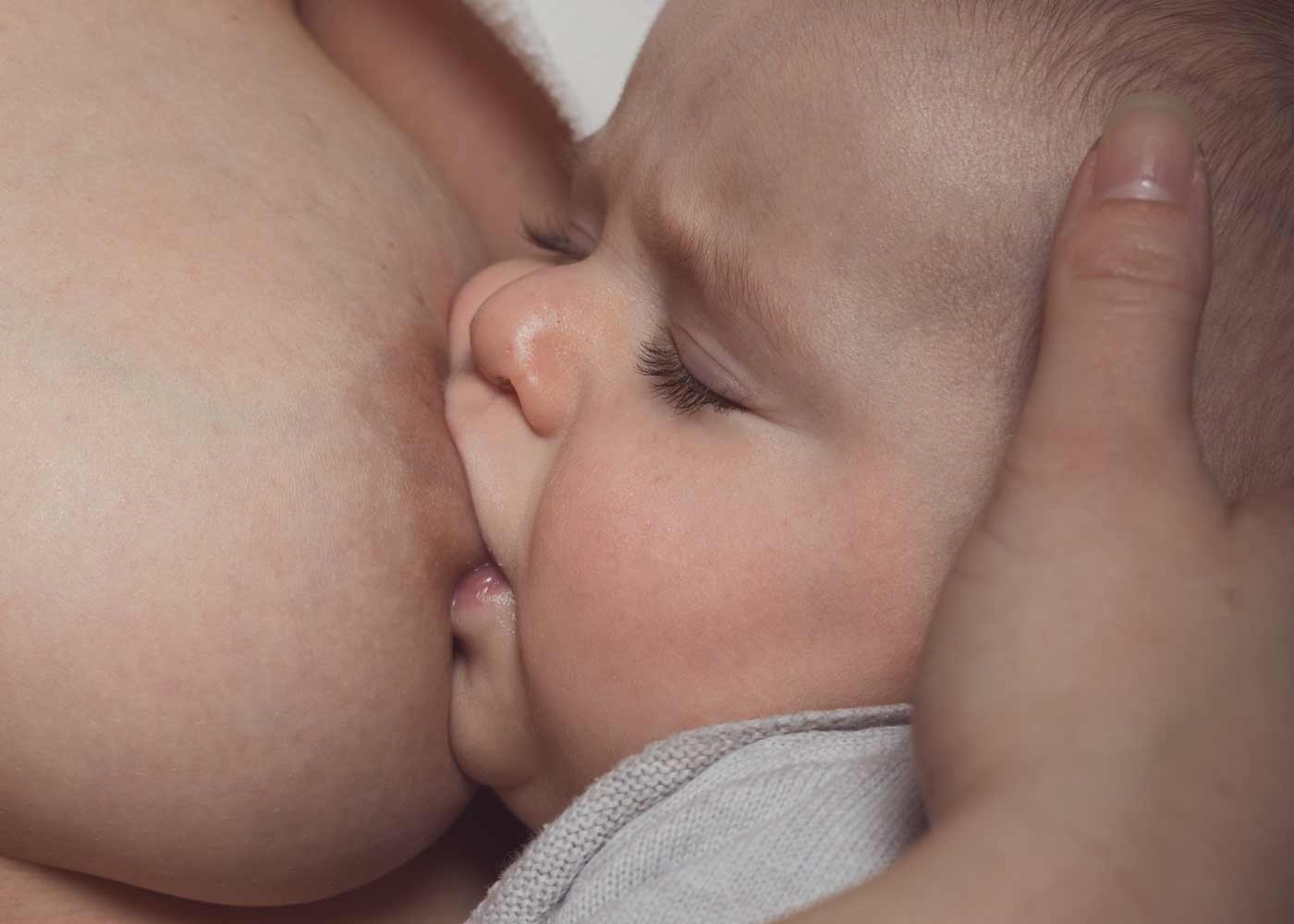 Bébé suçant le sein de sa mère
